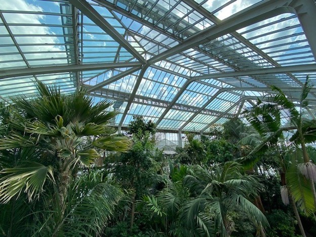 5 hidden green gems in Brussels